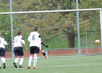 Hattrick Skramuské k bodům nevedl. Fialky doma padly s Havířovem