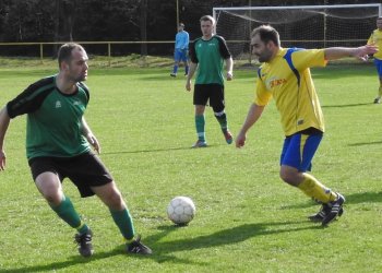 Tygři vydrží s dechem jen 55 minut