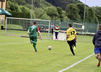 Foto č. 1 - Tygři hodně poškrábali Jarcové záda