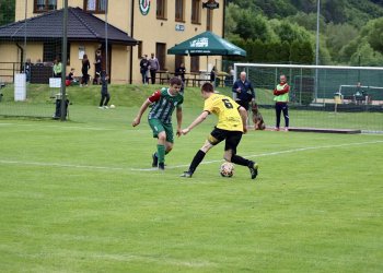 Foto č. 3 - Tygři hodně poškrábali Jarcové záda